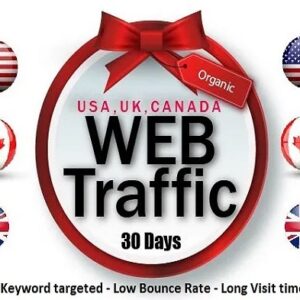 I will provide targeted google traffic to rank your website